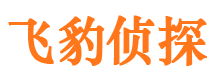 城厢市私家侦探